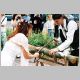 F1000036.html