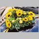 F1060024.html